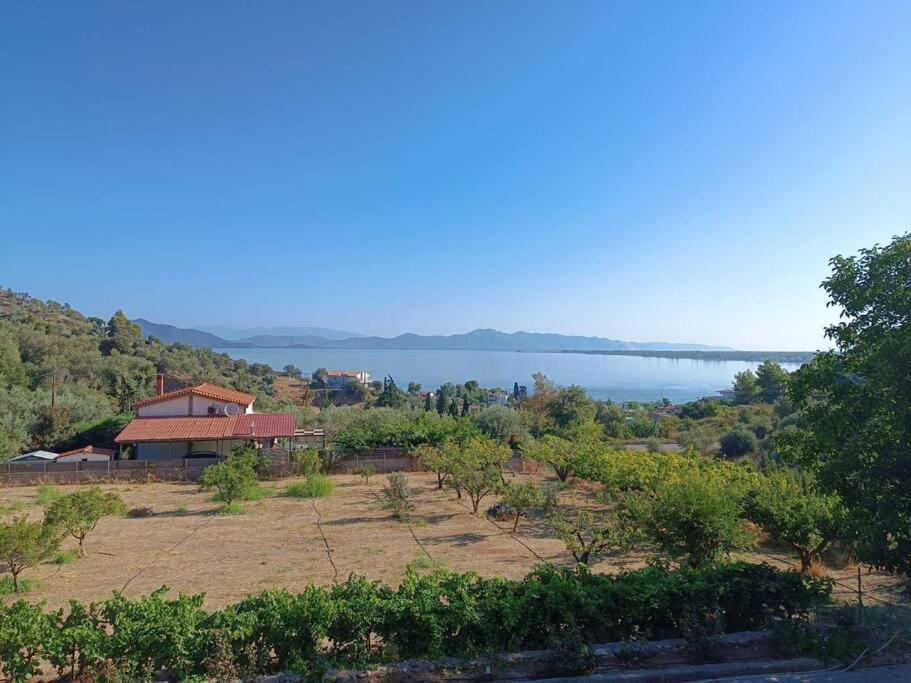 Ολόκληρος Όροφος Αγροτική Οικία Apartment เนออส ปีร์กอส ภายนอก รูปภาพ