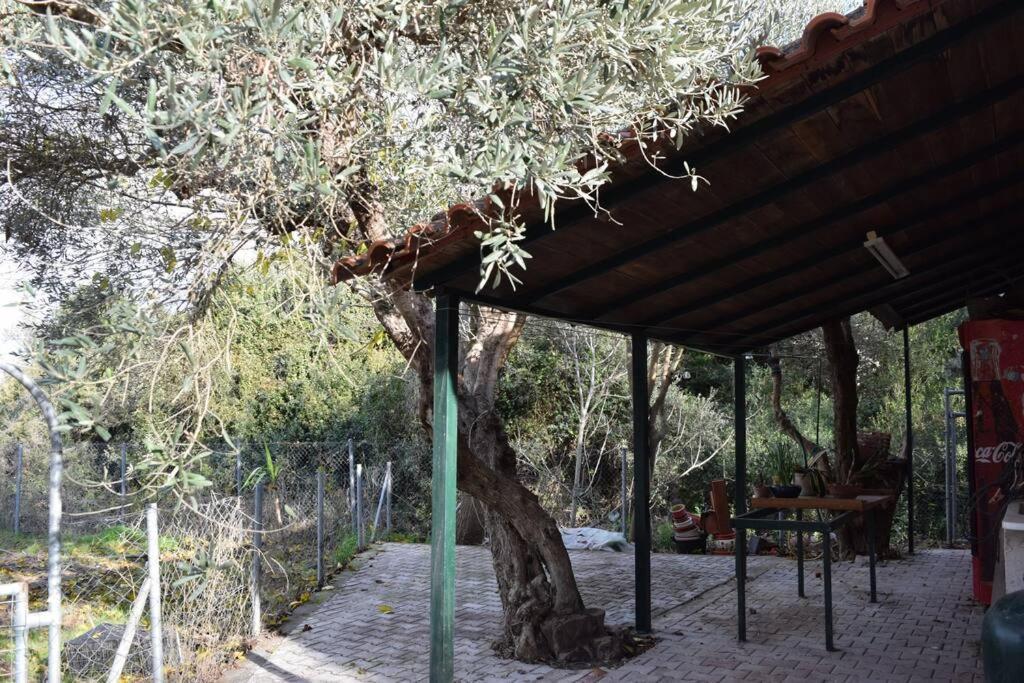 Ολόκληρος Όροφος Αγροτική Οικία Apartment เนออส ปีร์กอส ภายนอก รูปภาพ