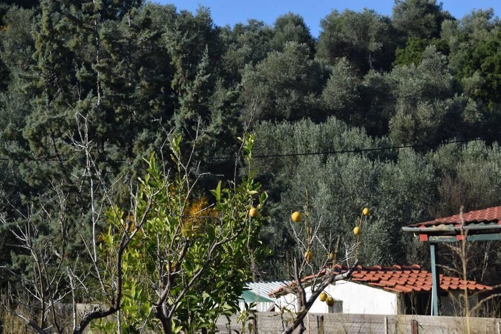 Ολόκληρος Όροφος Αγροτική Οικία Apartment เนออส ปีร์กอส ภายนอก รูปภาพ